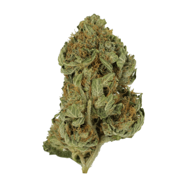 Bubblegum – 1 ounce | Green Leaf Express Canada