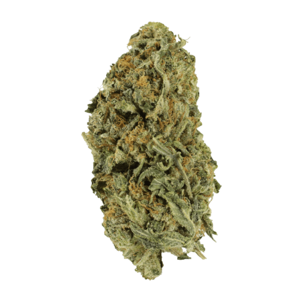 Black Gorilla | Green Leaf Express Canada