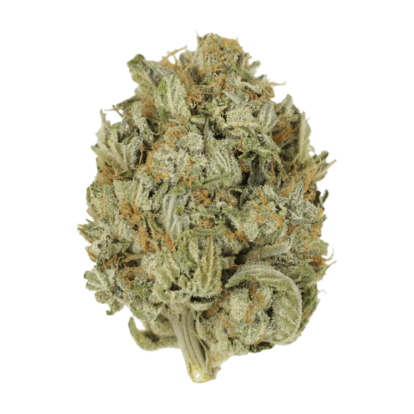 Blue Dream (Popcorn) | Green Leaf Express Canada