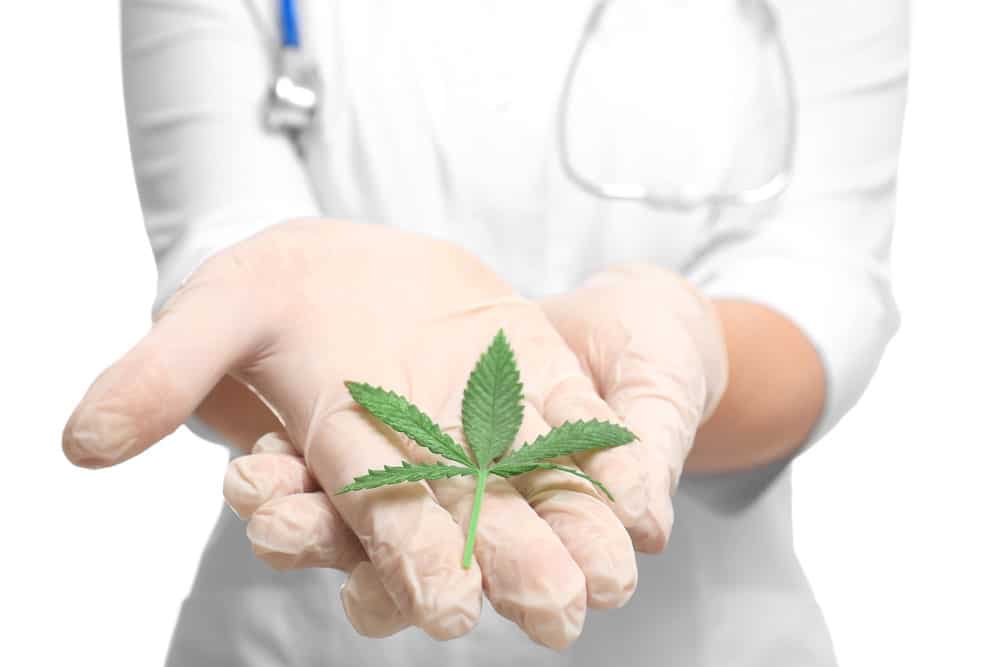 Cannabis as a natural cure for pain | Green Leaf Express Canada