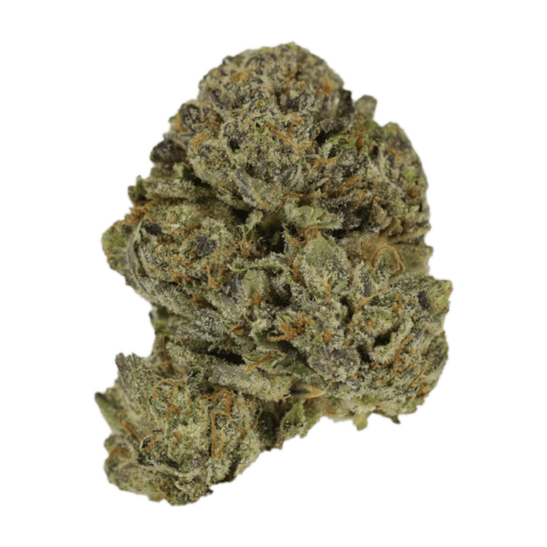 Lavender | Green Leaf Express Canada