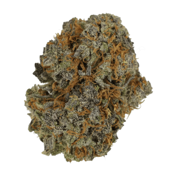 Jack Herer 1 Ounce | Green Leaf Express Canada