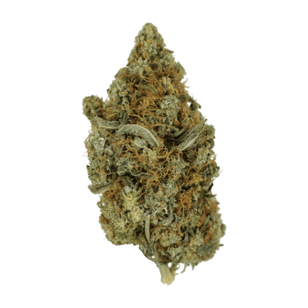 Jack Herer 1 Ounce | Green Leaf Express Canada