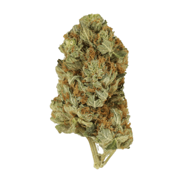 Jet Fuel | Green Leaf Express Canada