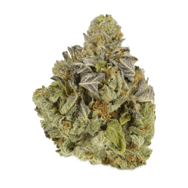 Jet Fuel | Green Leaf Express Canada