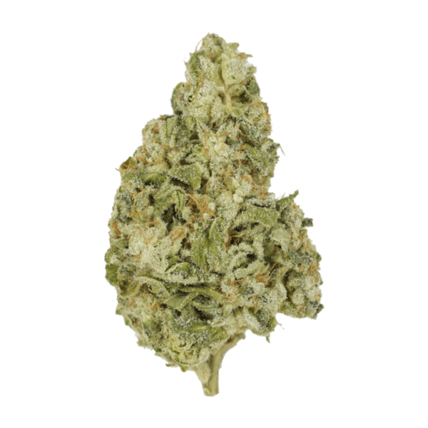 Zombie OG | Green Leaf Express Canada