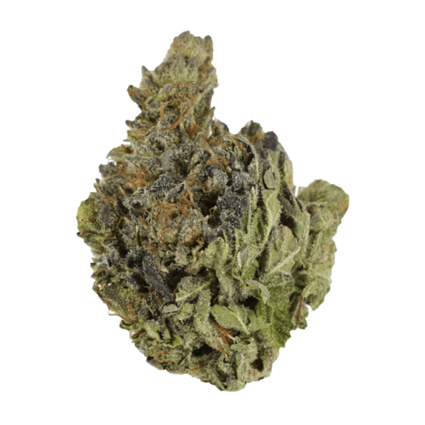 Chocolope | Green Leaf Express Canada