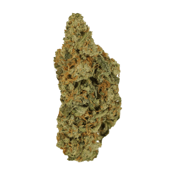 Mimosa | Green Leaf Express Canada