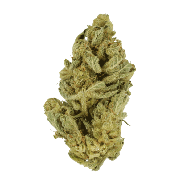 Hindu Kush – 7g | Green Leaf Express Canada