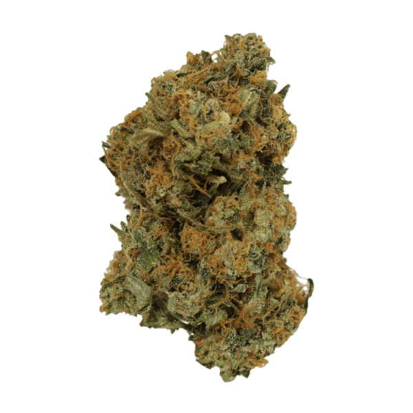 Mimosa | Green Leaf Express Canada