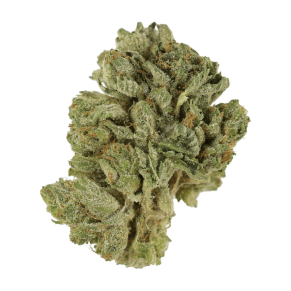 Northern Lights 2 for $69 | Green Leaf Express Canada