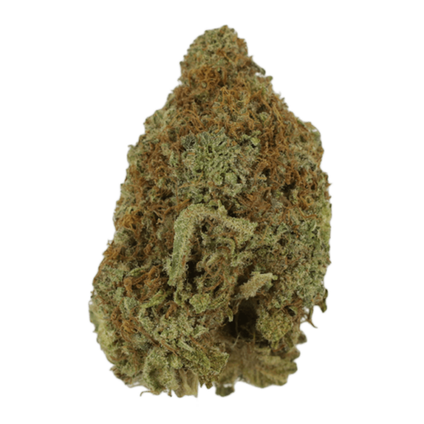 Mango Haze | Green Leaf Express Canada