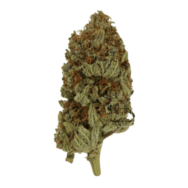 Congo | Green Leaf Express Canada