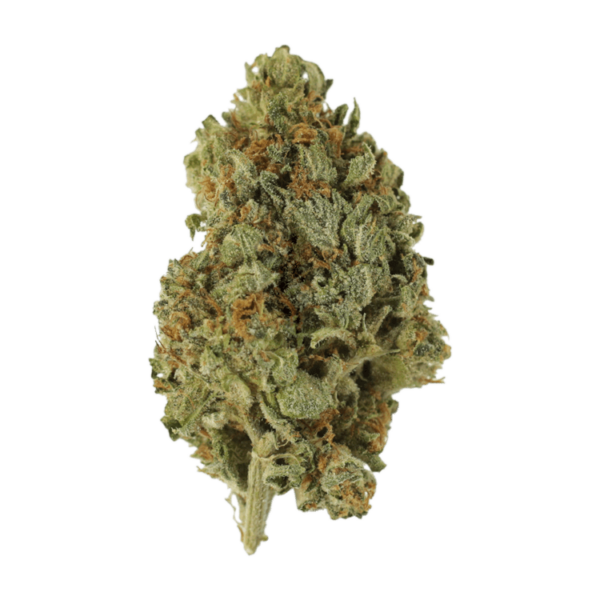 Sugar Cookies | Green Leaf Express Canada