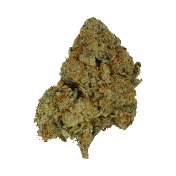 9lb Hammer | Green Leaf Express Canada