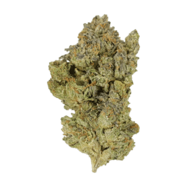 Golden Goat | Green Leaf Express Canada