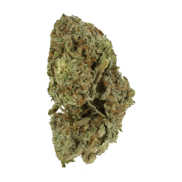 Gelato Sorbet – 1 ounce | Green Leaf Express Canada