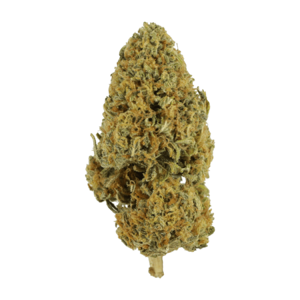 Grapefruit – 1 ounce | Green Leaf Express Canada