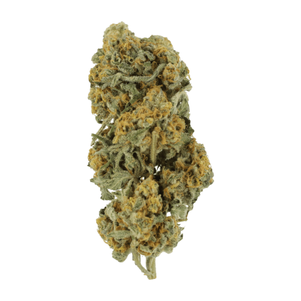 Miracle Alien Cookies | Green Leaf Express Canada