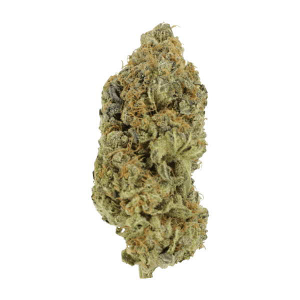 Critical Widow | Green Leaf Express Canada