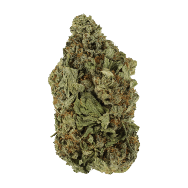 Shishkaberry | Green Leaf Express Canada