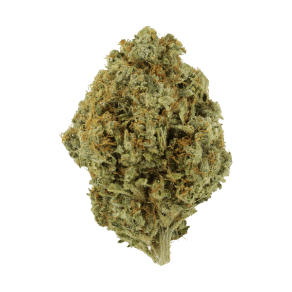 Orange Barb | Green Leaf Express Canada