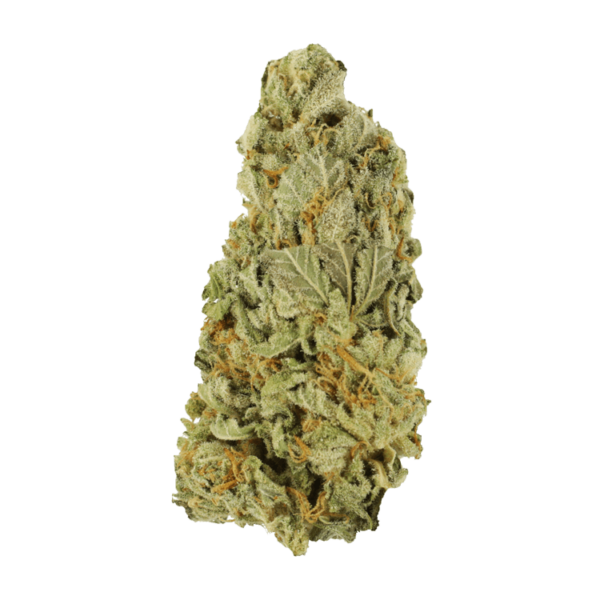 Green Congo | Green Leaf Express Canada