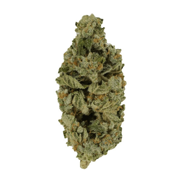 Crazy Glue | Green Leaf Express Canada