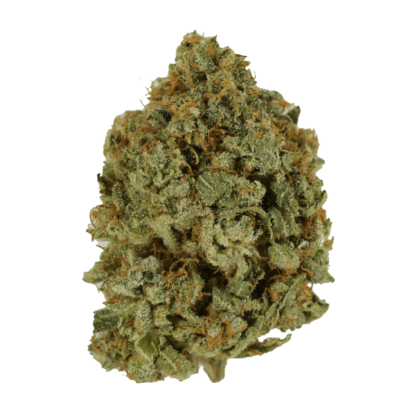 Crazy Glue | Green Leaf Express Canada