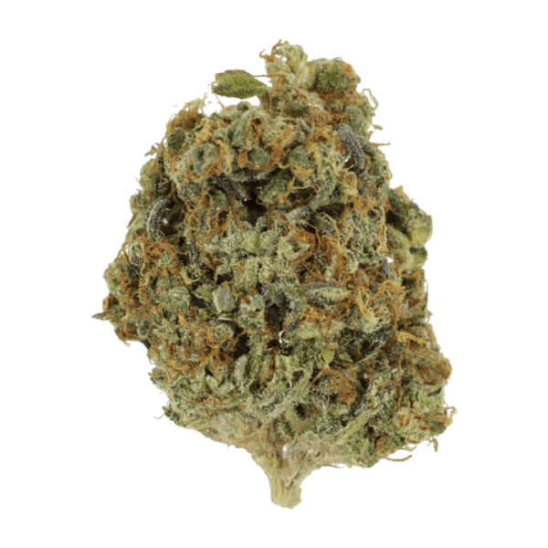 Sunset Sherbert | Green Leaf Express Canada