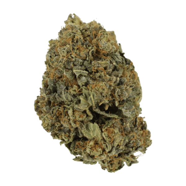 White Shark – 1 ounce | Green Leaf Express Canada