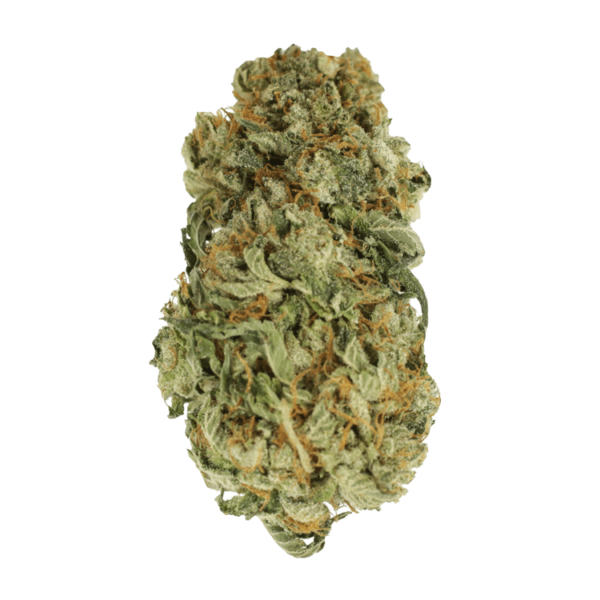 King Louis – 1 ounce | Green Leaf Express Canada