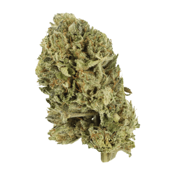 Purple OG Kush – 1 ounce | Green Leaf Express Canada