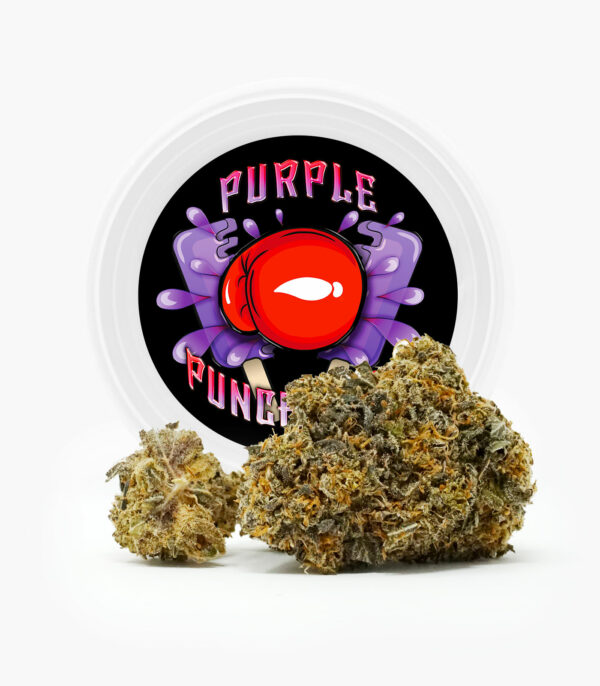 Westcoast Cali Tins – Premium Flower – Purple Punchsicle – 14g | Green Leaf Express Canada