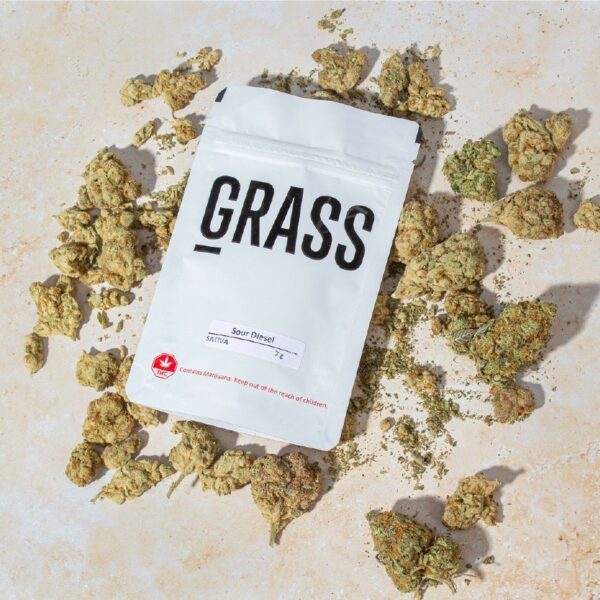 1/2OZ Sample Pack (AAA) – SAVE 20% | Green Leaf Express Canada