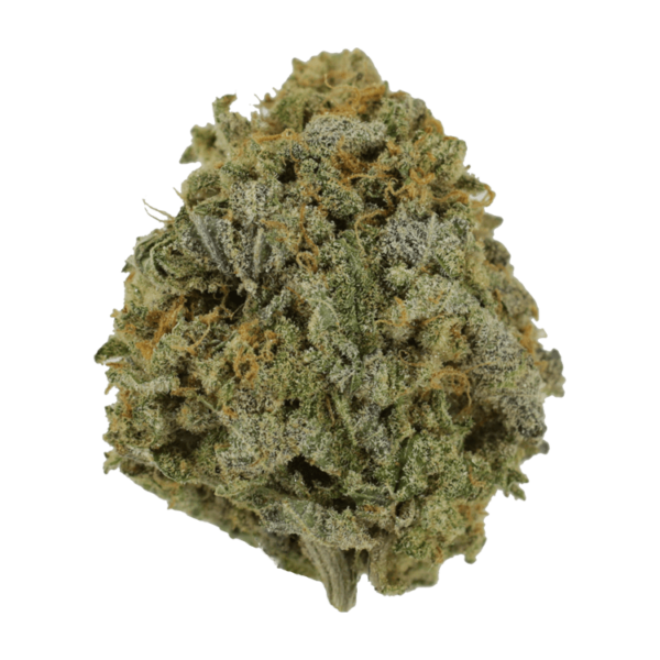 Pink Tuna (Popcorn) – $40/oz | Green Leaf Express Canada