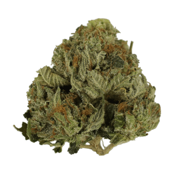 Pink Animal – 1 ounce | Green Leaf Express Canada