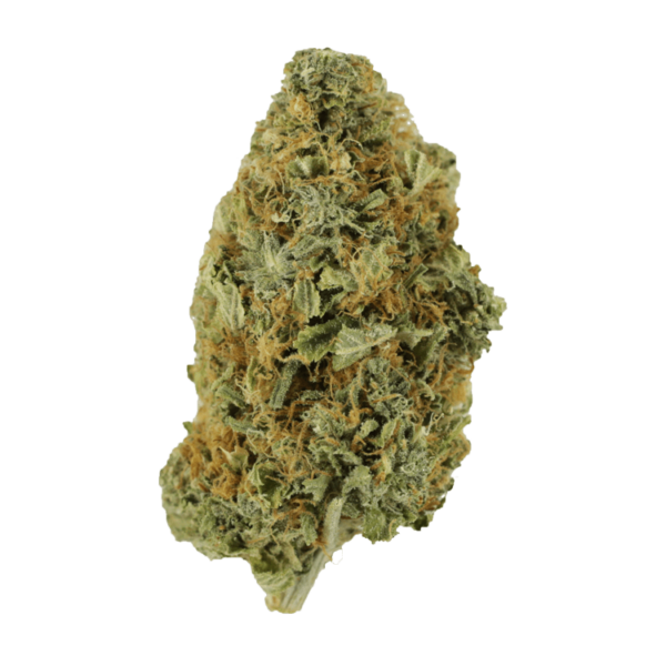 Purple Tuna – 1 ounce | Green Leaf Express Canada