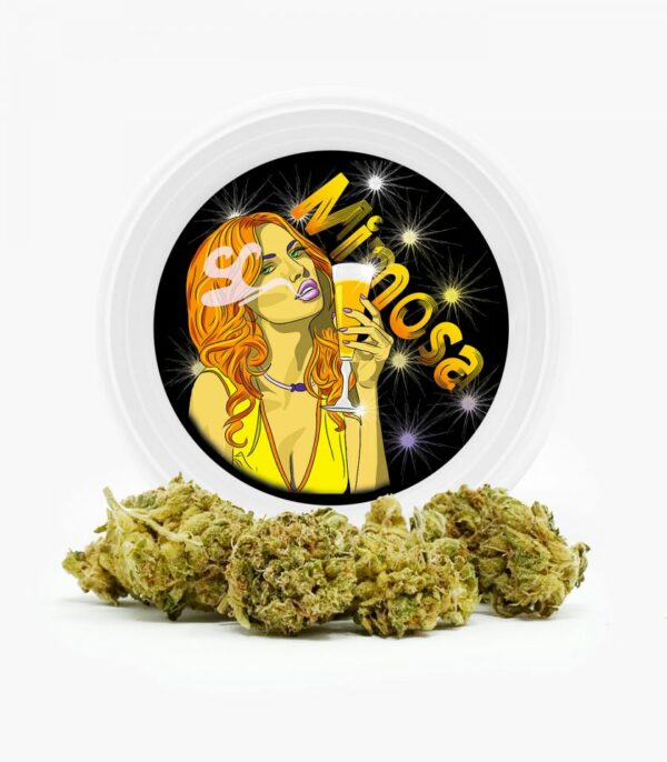 Westcoast Cali Tins – Premium Flower – Mimosa – 3.5g | Green Leaf Express Canada