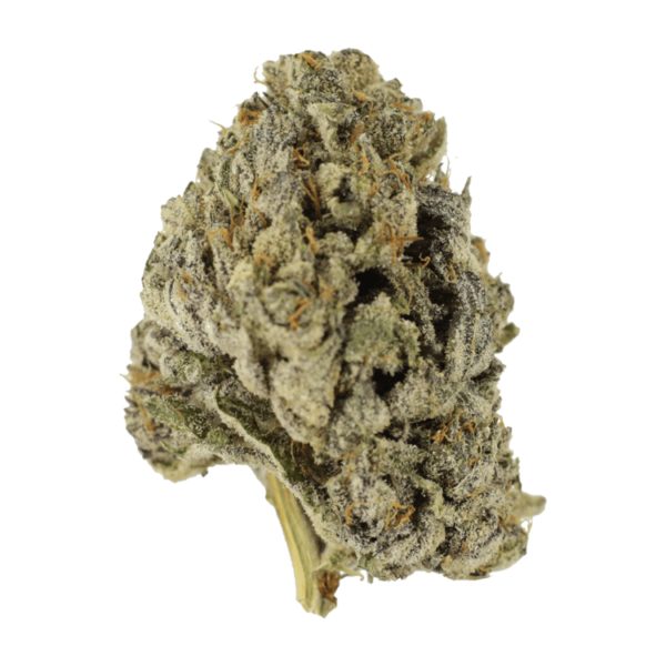 Sugar Pine | Green Leaf Express Canada