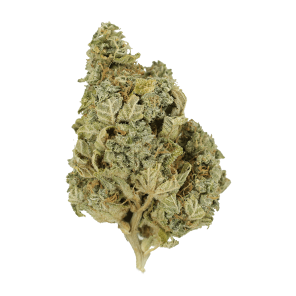 Khalifa Kush | Green Leaf Express Canada