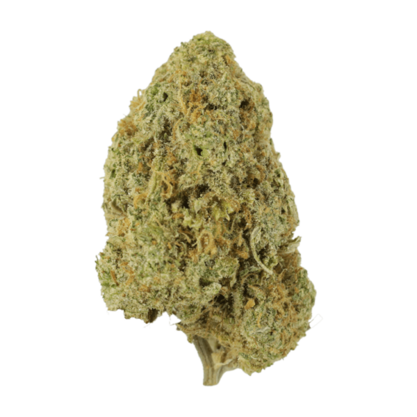 Sugar Pine | Green Leaf Express Canada