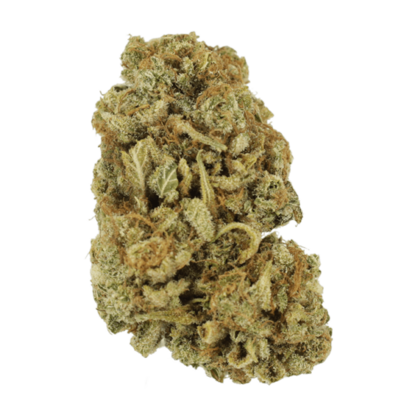 Blackwater | Green Leaf Express Canada