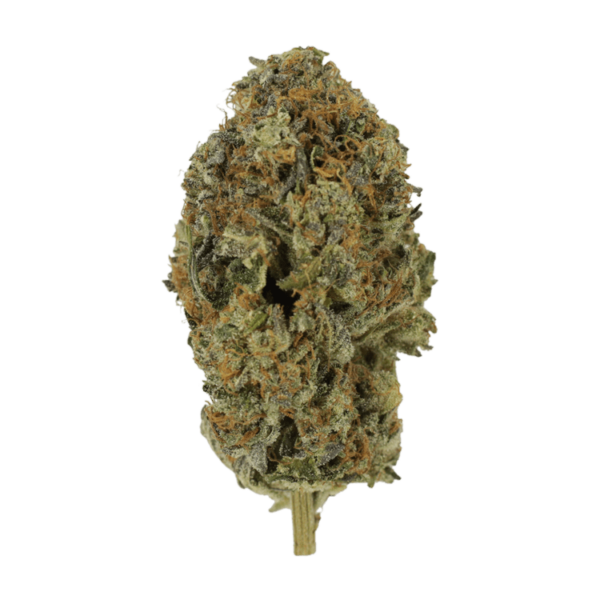 Acapulco Gold | Green Leaf Express Canada