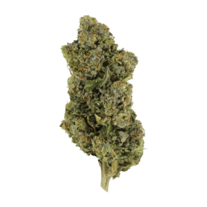 Jokerz | Green Leaf Express Canada