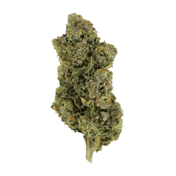 Jokerz | Green Leaf Express Canada