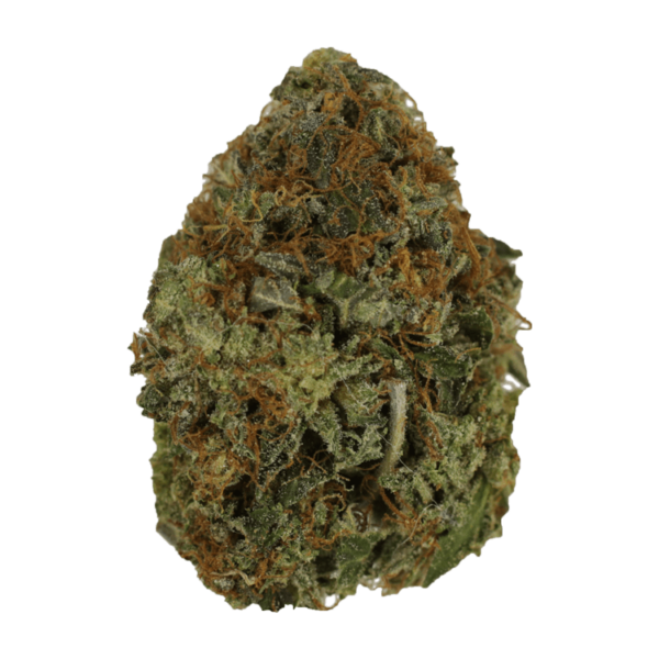 Orange Romulan | Green Leaf Express Canada