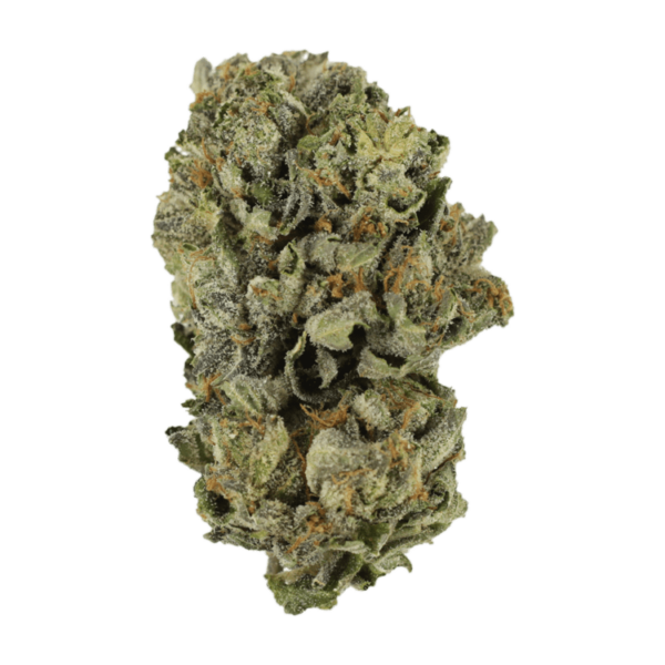 Cerebro Haze | Green Leaf Express Canada