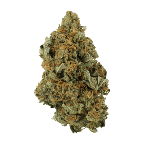 God’s Bubba | Green Leaf Express Canada