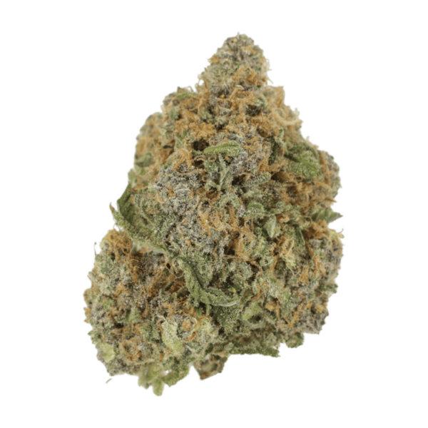 Jagermeister | Green Leaf Express Canada